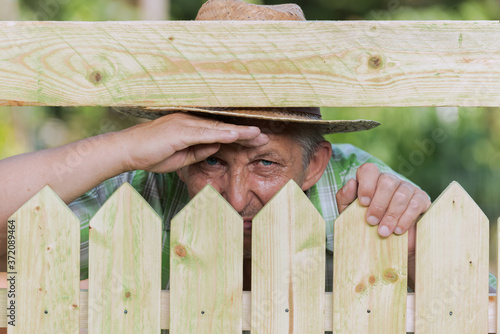 Valokuva Curious neighbor stands behind a fence and watches