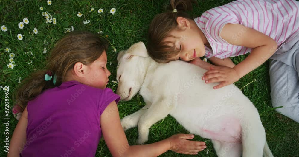 Authentic shot of two little girls are sleeping together their pedigree puppy of Labrador Retriever dog on a green lawn with daisies. Concept: love for animals and nature, friendship, authenticity Authentic shot of two little girls are sleeping together their pedigree puppy of Labrador Retriever dog on a green lawn with daisies. Concept: love for animals and nature, friendship, authenticity