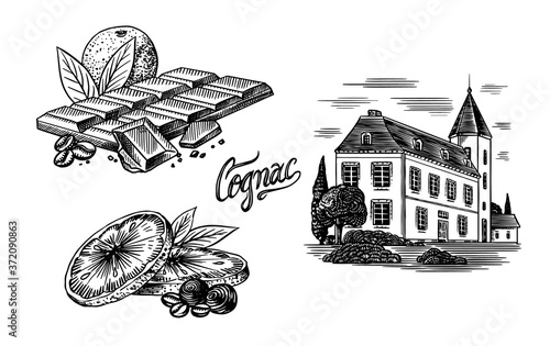 Alcohol production plant. Cognac castle. Chocolate bar with orange and citrus. Engraved hand drawn vintage sketch. Woodcut style. Vector illustration for menu or poster.