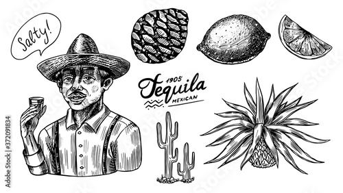 Agave fruits, lemon and cactus. Farmer in a hat with a shot of tequila. Engraved hand drawn vintage sketch. Woodcut style. Vector illustration for menu or poster.