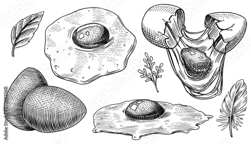 Eggs and scrambled omelette, farm product. Engraved hand drawn vintage sketch. Woodcut style. Vector illustration for menu or poster.
