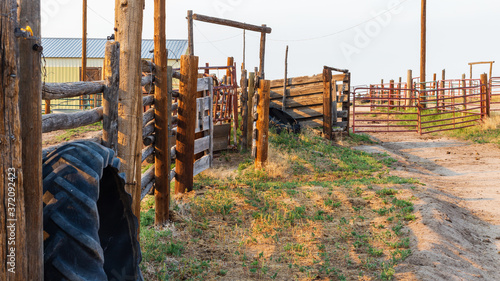 Rustic corral fencing on a working farm one late summer afternoon near Denver with barn, corrals, pasture grass