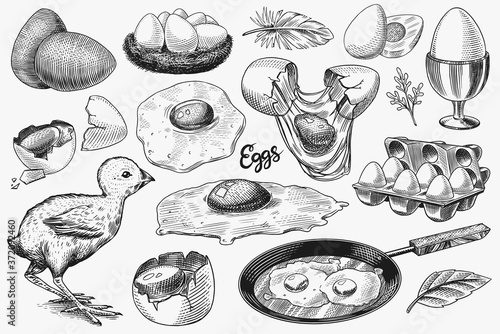 Canvas Print Eggs and chick, farm product, scrambled omelette, packing and nest