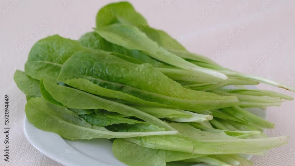 fresh and organic lettuce, organic lettuce leaves in a plate fresh and organic lettuce, organic lettuce leaves in a plate