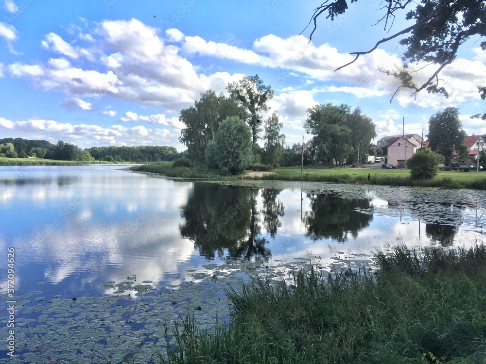 Obraz premium reflection of trees in water