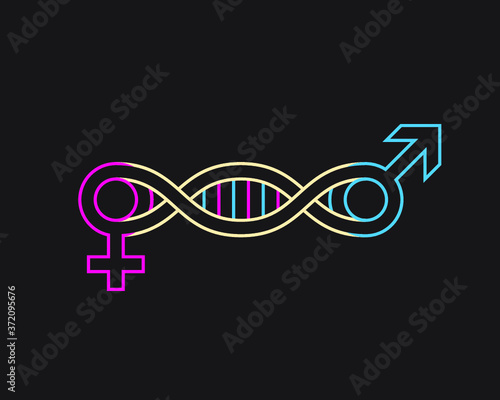 DNA  helix connecting female to male  