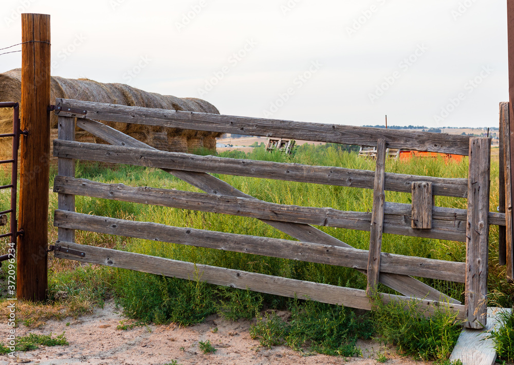 Old wooden fence gate with large round bales of hay in the background on a late summer day at a working farm near Denver