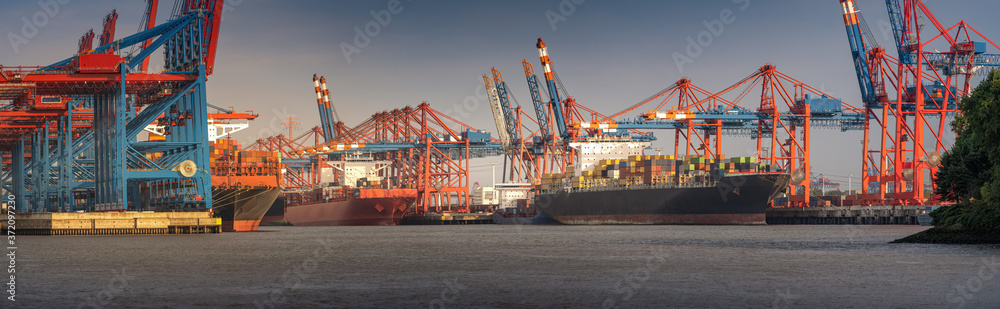 Panorama from a container terminal in the port of Hamburg in sunny weather in the evening