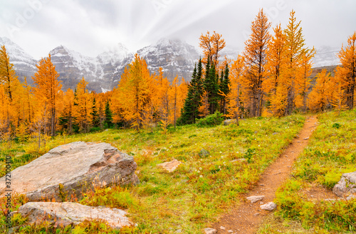 Hiking Path In Autumn Mountains