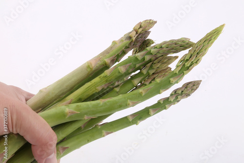 asparagus photo