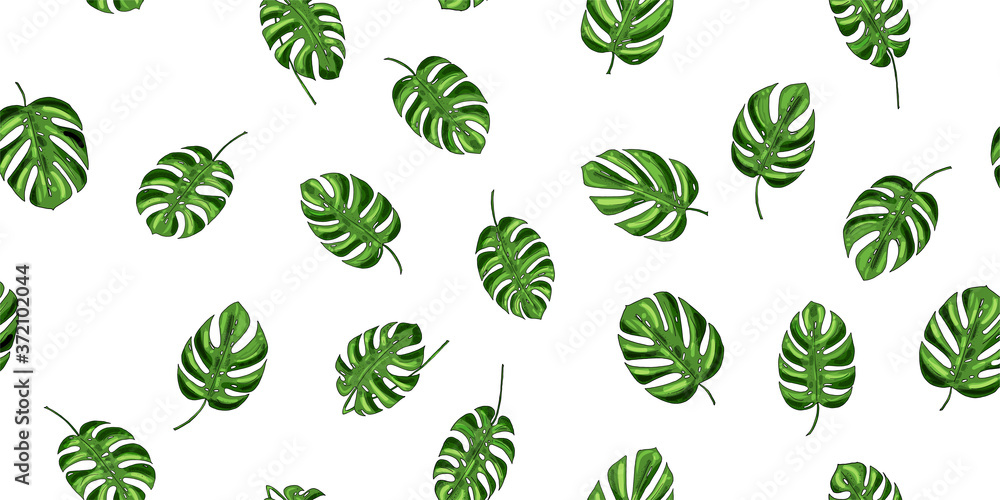 seamless pattern, background from green leaves of monstera on a white background for design, print, textile, raster copy seamless pattern, background from green leaves of monstera on a white background for design, print, textile, raster copy
