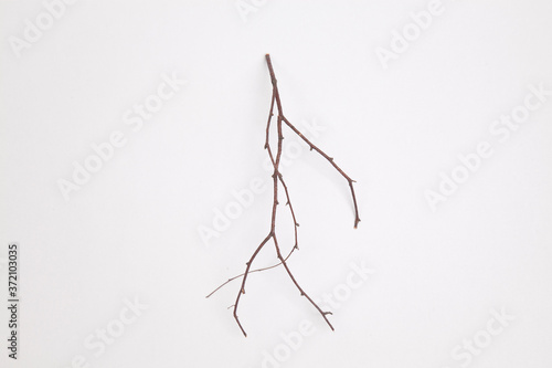 Zweig formt ein laufendes Männchen / Figur