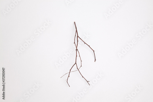 Zweig formt ein laufendes Männchen / Figur © tobiasott