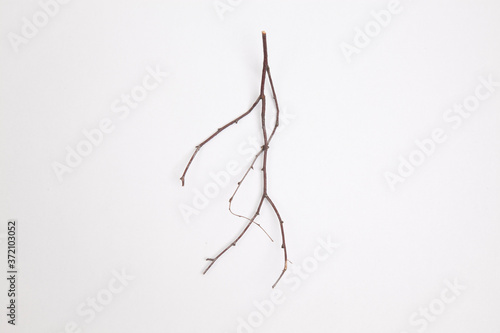 Zweig formt ein laufendes Männchen / Figur © tobiasott