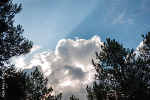 clouds and sunrays in summer 