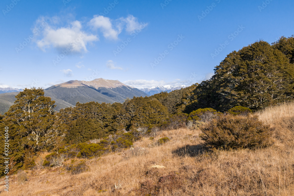 Saint Arnaud range in Nelson Lakes National Park in New Zealand with blue sky and copy space