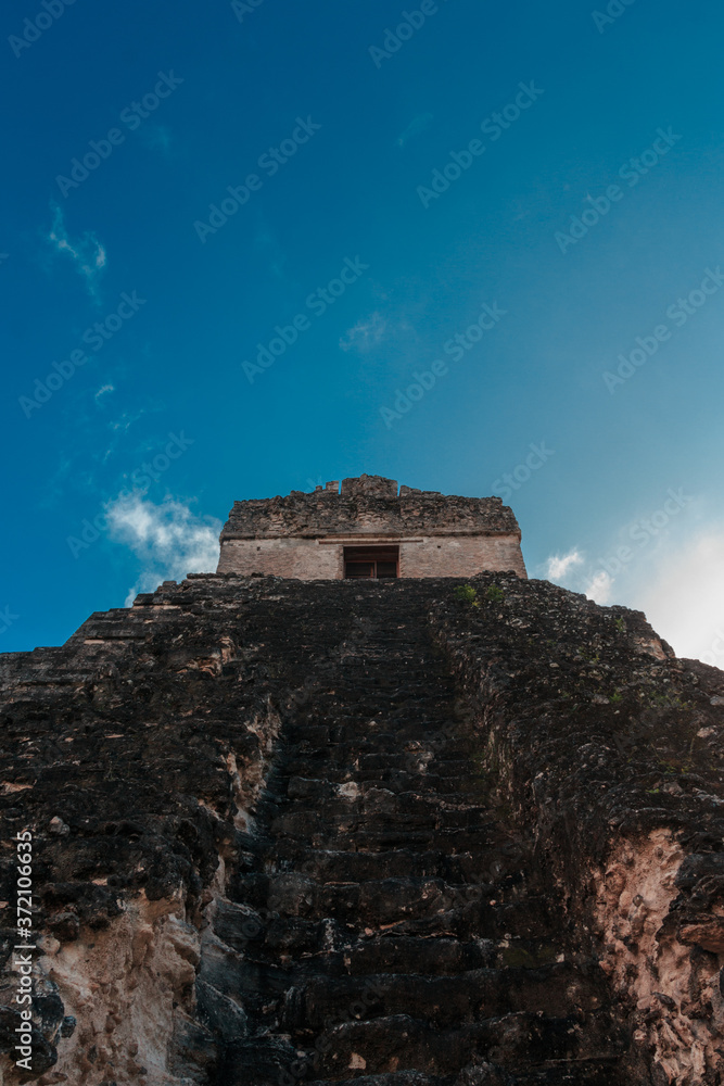 Fototapeta premium Tikal desde abajo