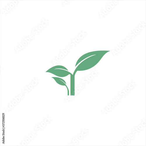 Green growing leaves vector illustration on white background. Organic, fresh production template design.
