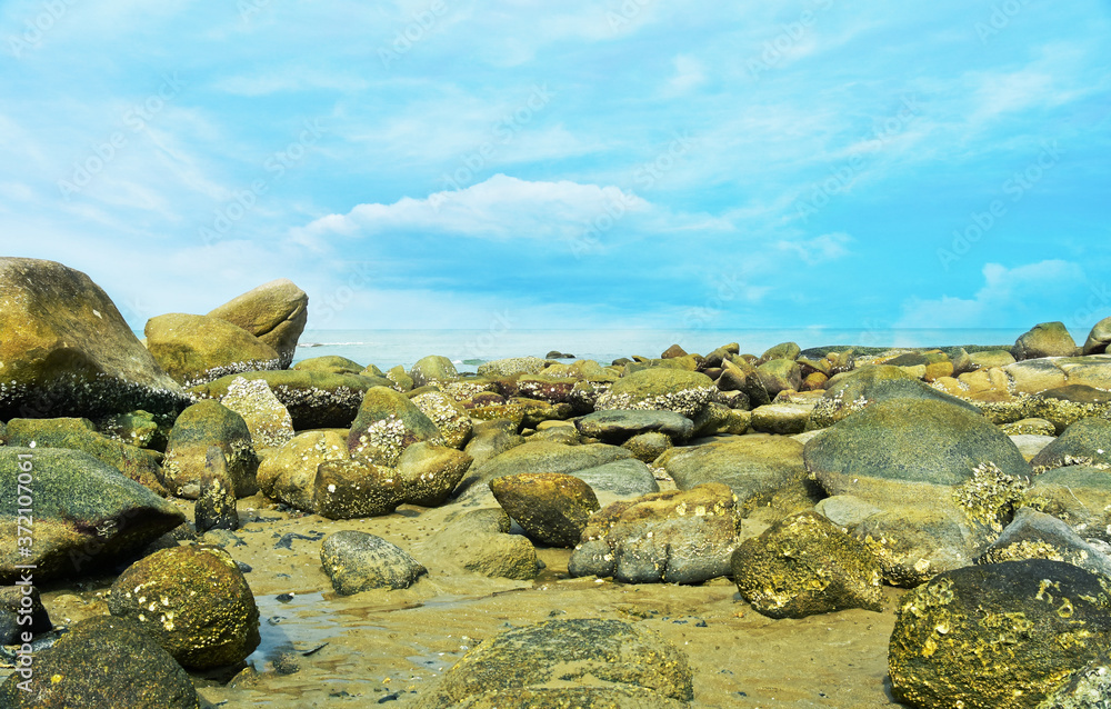 On the seashore there are many large rocks piled together. On the seashore there are many large rocks piled together.