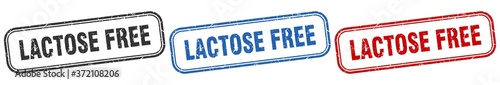 lactose free square isolated sign set. lactose free stamp