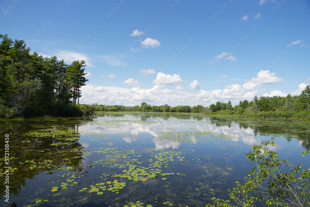 A beautiful lake on a sunny, summers day