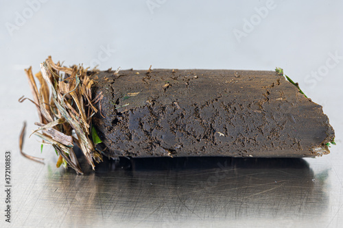 aeration core from lawn