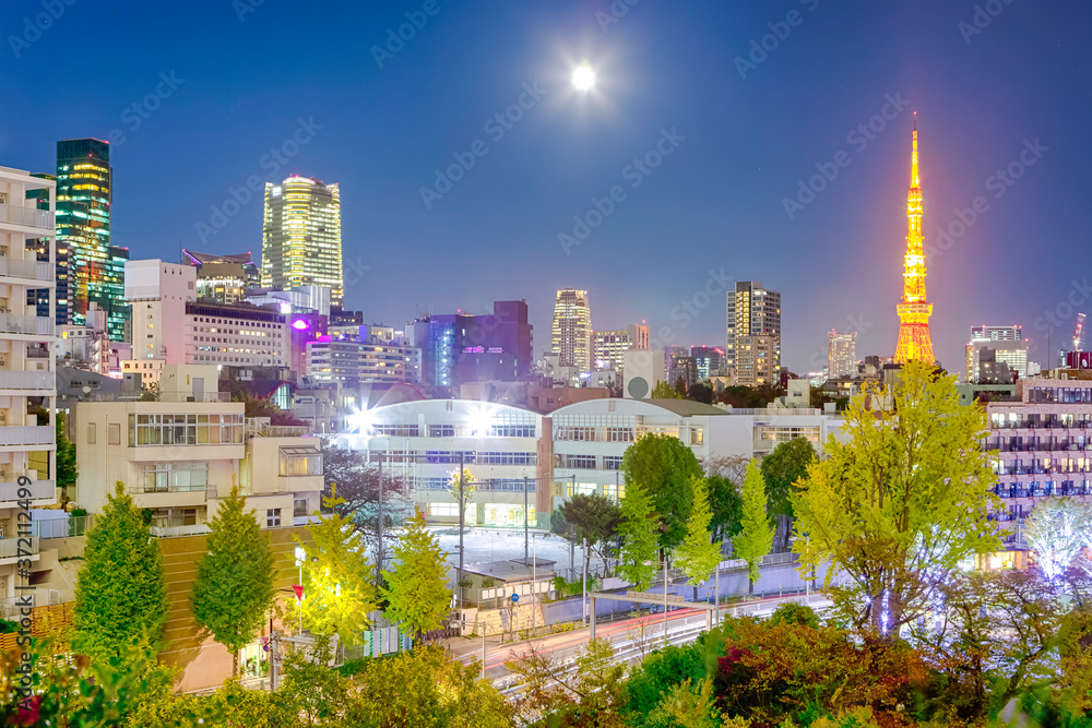 Obraz premium Night View of Picturesque Tokyo Skyline at Blue Hour in Japan with Tokyo Tower in Frame.