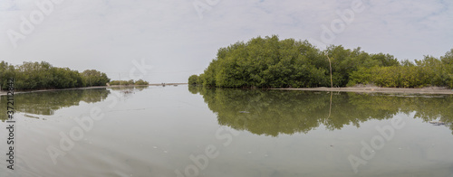 The mangroves and mud flats of Ciénaga De Tesca, near Cartagena, Colombia