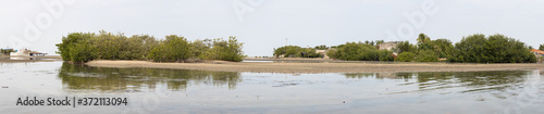 The mangroves and mud flats of Ciénaga De Tesca, near Cartagena, Colombia