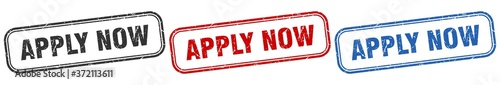 apply now square isolated sign set. apply now stamp
