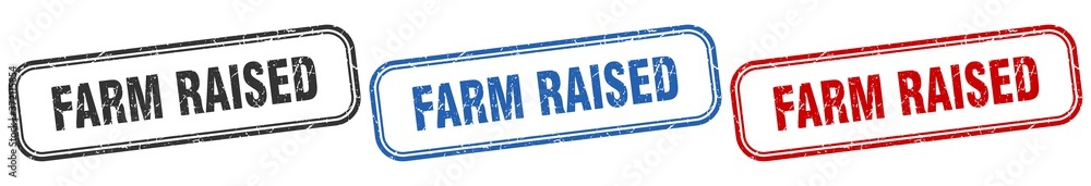 farm raised square isolated sign set. farm raised stamp farm raised square isolated sign set. farm raised stamp