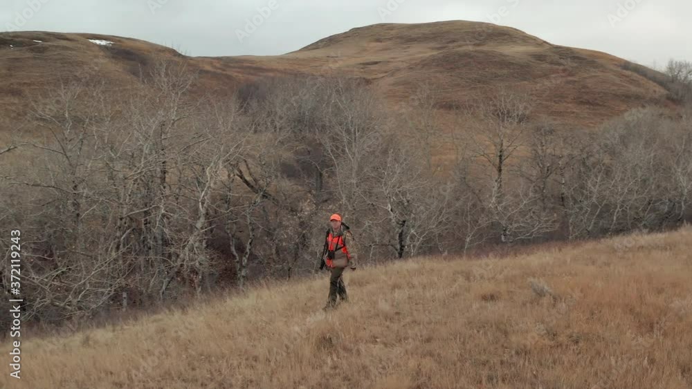 Adult Male Hunter walking in prime hunting territory on Saskatchewan Prairie habitat- Aerial follow drone shot Adult Male Hunter walking in prime hunting territory on Saskatchewan Prairie habitat- Aerial follow drone shot