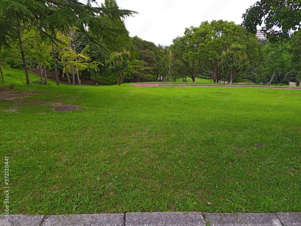 夏の公園 夏の公園