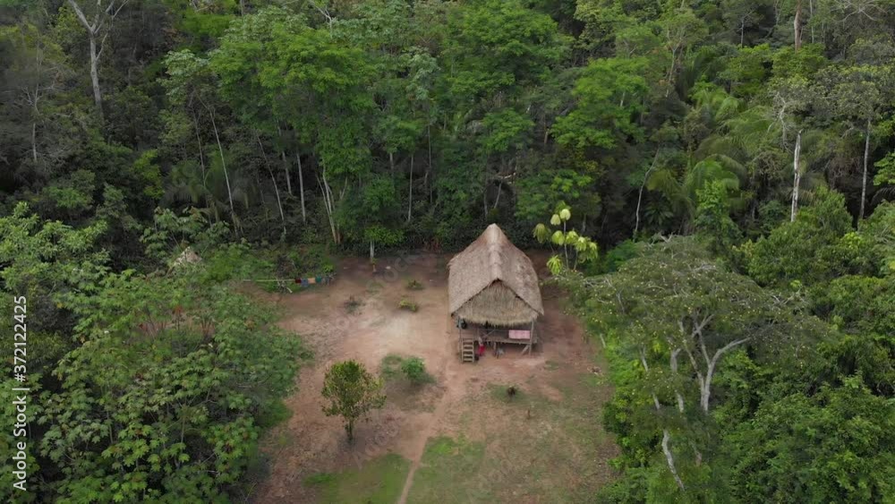 House in middle of the amazon jungle, rainforest with people House in middle of the amazon jungle, rainforest with people