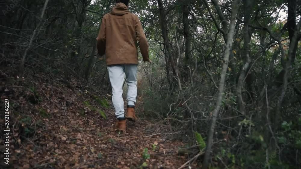 A man walking under the lush, green trees of a forest, a nature walk - Slow motion A man walking under the lush, green trees of a forest, a nature walk - Slow motion