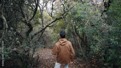 A man touring the beautiful forest of Arnaia, Greece on a cloudy day - Slow motion photo