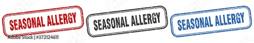seasonal allergy square isolated sign set. seasonal allergy stamp