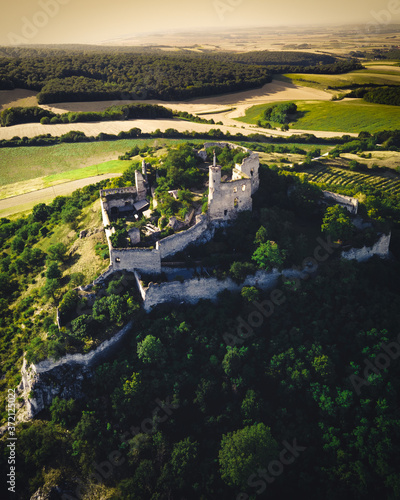 vineyard aerial view in weinviertel austria during sunset