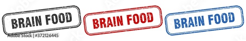 brain food square isolated sign set. brain food stamp