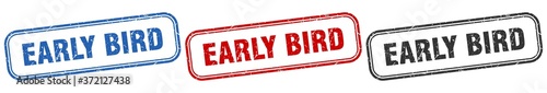 early bird square isolated sign set. early bird stamp