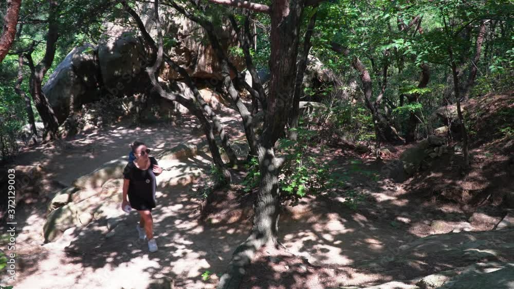 side view of female hiker walking up the mountain trail on sunny day In Gwanaksan Mountain In South Korea With Sunlight Shining Through The Trees - top angle shot side view of female hiker walking up the mountain trail on sunny day In Gwanaksan Mountain In South Korea With Sunlight Shining Through The Trees - top angle shot
