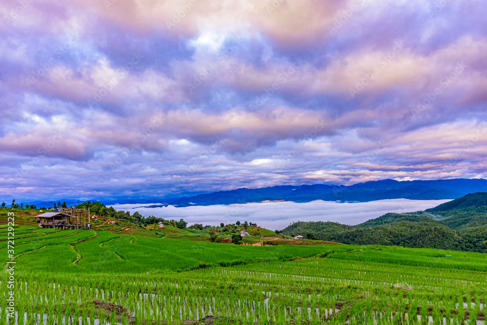 Beautiful landscape the rice terrace fields at Pa Bong Piang village Chiang mai, thailand.