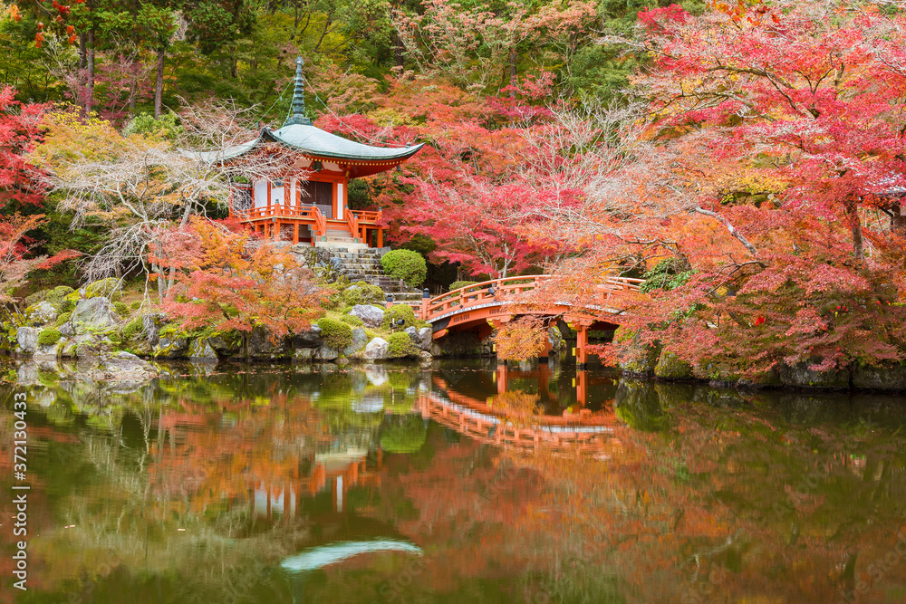 Naklejka premium Beautiful japanese garden with colorful maple trees in Daigoji temple in autumn season, Kyoto, Japan