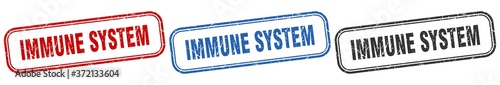 immune system square isolated sign set. immune system stamp