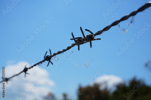 Barbed wire prominent in the picture, restricted area, no entry, shows a boundary.