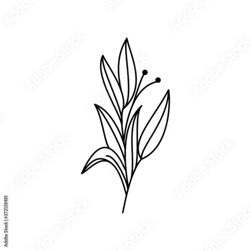 flower vector collection. Free Vectors Background.Line logo flowers.