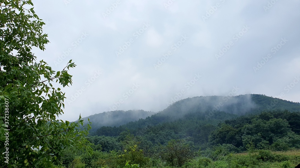 안개 산 안개 산