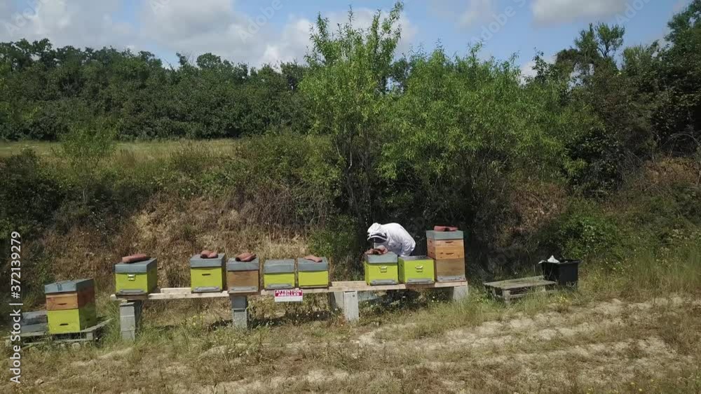 Aerial backwards over a beekeeper wearing a suit working on his many beehive Aerial backwards over a beekeeper wearing a suit working on his many beehive