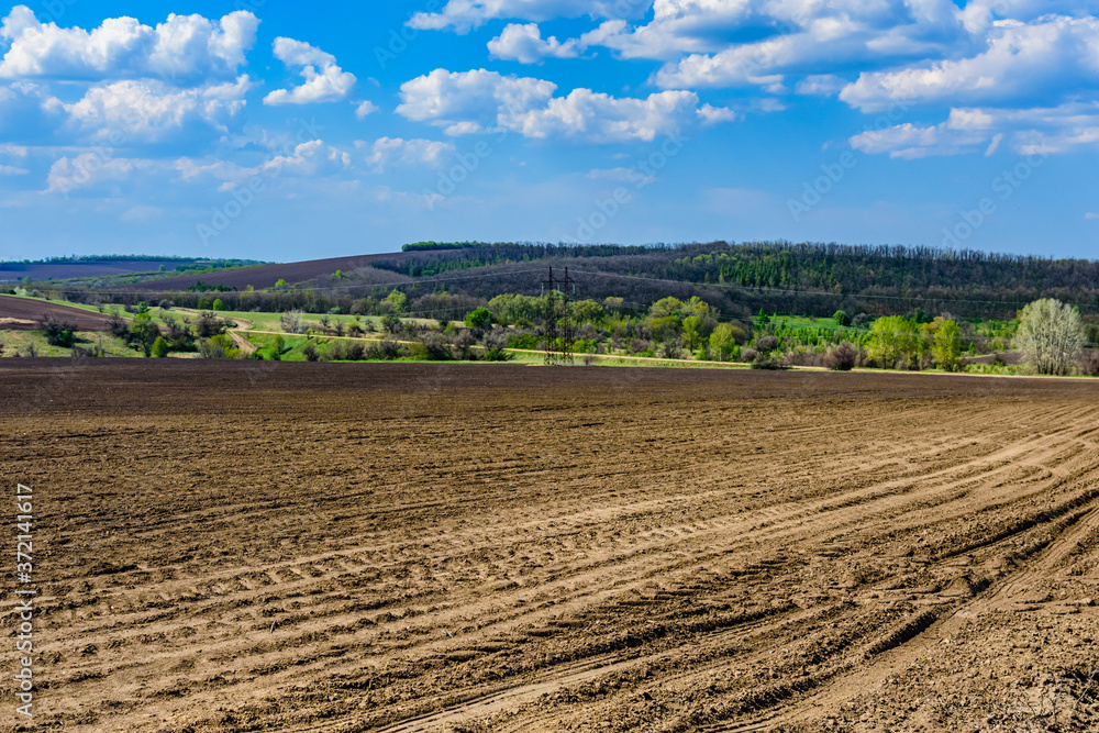 Plowed agricultural field at summer. Rural landscape