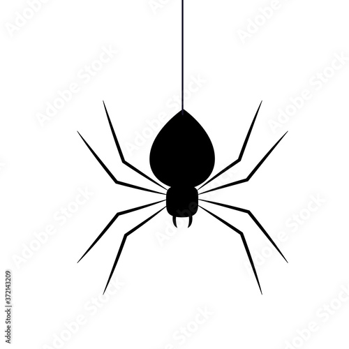 Halloween black spider vector design